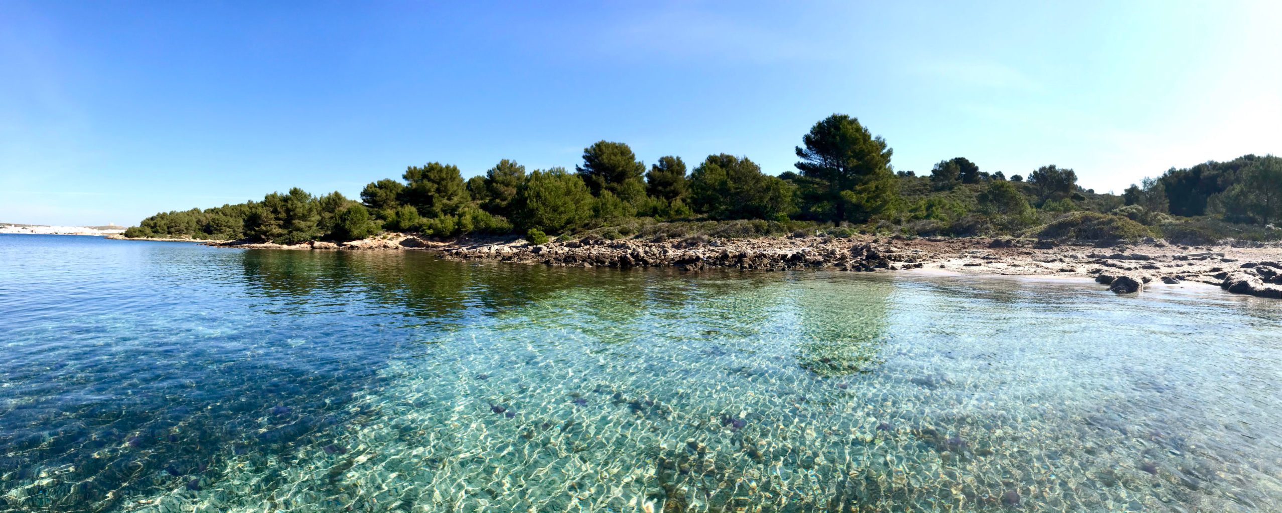 playa s'albufereta Fornells