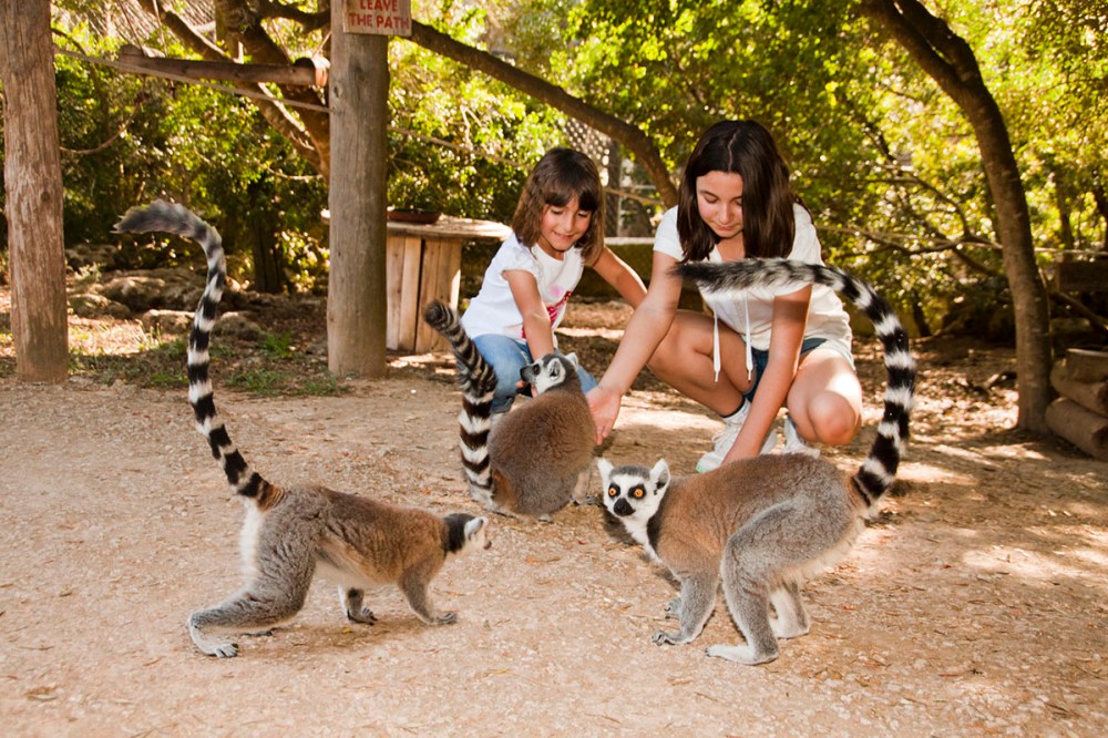 two children playing with animals