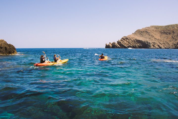 a group of people swimming in a body of water